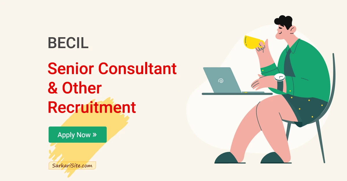 becil senior consultant